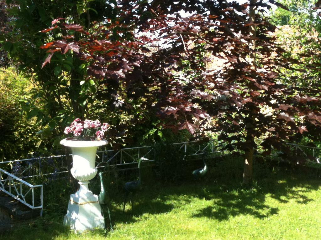 Bed and Breakfast Charlemont House Moy Экстерьер фото