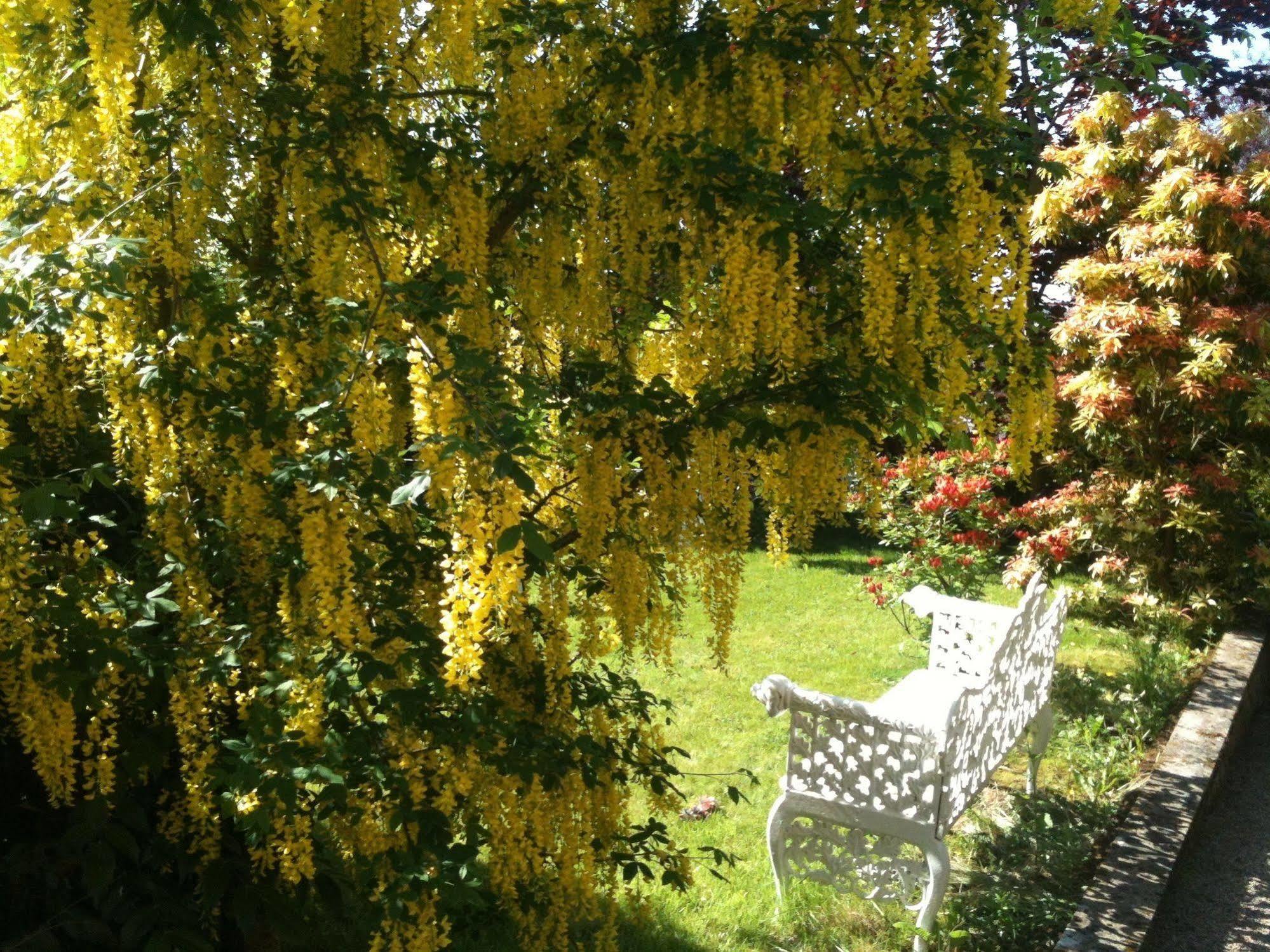 Bed and Breakfast Charlemont House Moy Экстерьер фото